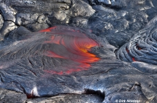 Lava Stream on Big Island